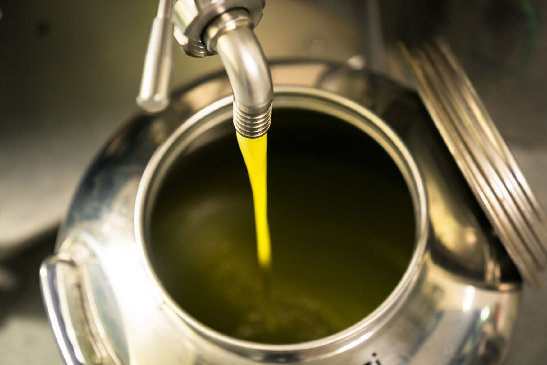 Olive oil processing